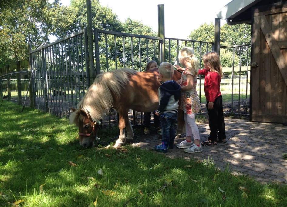 Grijpskerkseweg 3 Voorhuis Oostkapelle Kültér fotó